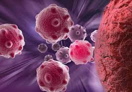 AI Cancer Cell Detection