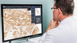 Telepathology Viewer